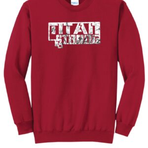 TITANS004 - Port & Company® Youth Core Fleece Crewneck Sweatshirt